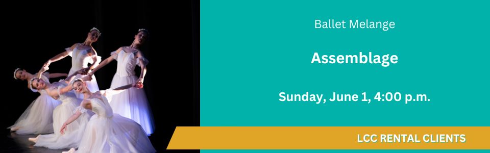 Zz Ballet Melange- 2025 - Assemblage