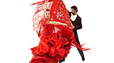 Zz LCC Presents - 2018 - Flamenco Dance Master Class